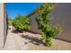 Landscaped backyard featuring beautiful trees, gravel, and stone pathway at 7703 E Overlook Dr, Scottsdale, AZ 85255