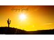 An amazing desert sunset, with a silhouette of a large cactus at 1200 W Boxelder Cir, Chandler, AZ 85224