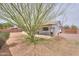 Backyard showing mature desert landscaping with a covered patio and block fencing at 1297 E Avenida Kino --, Casa Grande, AZ 85122
