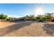 Large backyard featuring gravel, sunny skies, and mature trees, offering a blank canvas for outdoor activities at 14022 W Hope Dr, Surprise, AZ 85379