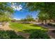 Lush green space with trees providing a serene and scenic neighborhood landscape at 1677 W Seagull Ct, Chandler, AZ 85286