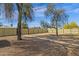 Large gravel backyard surrounded by a wooden fence and dotted with mature trees at 1719 E Pinchot Ave, Phoenix, AZ 85016