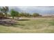Expansive community park with lush green grass, walking paths, mature trees, and seating areas at 21882 N 260Th Ln, Buckeye, AZ 85396