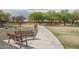 Inviting walking path lined with mature trees and benches for relaxation and enjoying the outdoors at 21882 N 260Th Ln, Buckeye, AZ 85396