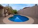 Inviting backyard oasis featuring a sparkling pool with a mature palm tree at 3922 N 125Th Dr, Avondale, AZ 85392