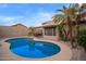 Backyard featuring a sparkling pool with lush palm trees and desert landscaping at 3922 N 125Th Dr, Avondale, AZ 85392