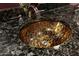 Unique gold toned sink with granite countertop at 4808 N 24Th St # 1424, Phoenix, AZ 85016