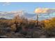 Scenic desert landscape with iconic cacti and mountain views under a partly cloudy sky at 5100 E Rancho Paloma Dr # 1044, Cave Creek, AZ 85331