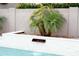 This pool has a decorative waterfall and a lush tropical palm tree providing a tranquil vibe at 7158 E Posada Ave, Mesa, AZ 85212