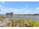 Picturesque waterfront view showcasing palm trees and blue skies at 945 E Playa Del Norte Dr # 4017, Tempe, AZ 85288