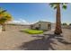 Backyard boasts a putting green, palm tree, and low-maintenance landscaping at 1064 S 97Th St, Mesa, AZ 85208