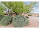 Single-story home featuring desert landscaping, a mature tree, and well-maintained surroundings at 17128 E Kensington Pl, Fountain Hills, AZ 85268