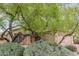 Single-story home featuring desert landscaping, a mature tree, and well-maintained surroundings at 17128 E Kensington Pl, Fountain Hills, AZ 85268