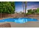 Inviting backyard pool with lush greenery, offering a serene and private escape for relaxation and recreation at 2143 N Chestnut Cir, Mesa, AZ 85213