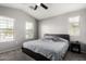 A calming main bedroom with plush carpet, natural light, and a ceiling fan at 343 N 169Th Ave, Goodyear, AZ 85338