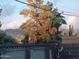 Backyard view of the mountain landscape and neighborhood at 610 E Estevan Ave, Apache Junction, AZ 85119