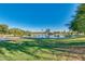 Beautiful community pond surrounded by lush green lawns and mature trees under a clear blue sky at 7502 E Princeton Ave, Scottsdale, AZ 85257