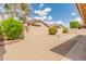 Desert landscaped backyard features a mature palm tree and block wall at 7916 W Mary Ann Dr, Peoria, AZ 85382