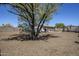 Backyard featuring gravel landscaping and a partially-shaded patio area at 907 N Mountain Rd, Mesa, AZ 85207