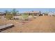 A wide view of the expansive, well-maintained backyard featuring mulch and desert landscaping at 907 N Mountain Rd, Mesa, AZ 85207