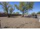 Backyard with trees, fencing, and a hammock at 907 N Mountain Rd, Mesa, AZ 85207