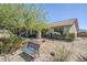 Inviting front yard with mature desert trees, lush landscaping, and desert views, perfect for relaxation at 907 N Mountain Rd, Mesa, AZ 85207