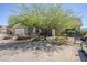 Landscaped front yard showcasing mature tree, desert plants, and a charming single-story home at 907 N Mountain Rd, Mesa, AZ 85207