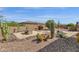 Backyard with desert landscaping, covered patio, outdoor kitchen, and comfortable seating at 10350 E Texas Ave, Mesa, AZ 85212