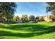 Scenic view of well-maintained green common area in a residential community at 14250 W Wigwam Blvd # 2111, Litchfield Park, AZ 85340