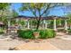 Lush community courtyard featuring mature shade trees and decorative pergola at 14250 W Wigwam Blvd # 2111, Litchfield Park, AZ 85340