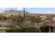 Expansive backyard featuring desert landscaping and distant mountain views at 1500 N Crismon Rd, Mesa, AZ 85207