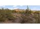 Scenic desert landscape with native vegetation and distant mountain views at 1500 N Crismon Rd, Mesa, AZ 85207