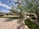 Large backyard featuring manicured green spaces, a brick pathway, and desert landscaping at 20525 W Hamilton St, Buckeye, AZ 85396