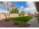 Lush backyard with a grass lawn, desert landscaping, and a block wall fence at 2309 W Shawnee Dr, Chandler, AZ 85224