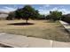 Expansive green space with mature trees, perfect for outdoor activities and community gatherings at 2701 S Southwind Dr, Gilbert, AZ 85295