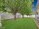 Lush green backyard with mature trees, grass, gravel, and a privacy wall at 3108 W Butler Dr, Phoenix, AZ 85051