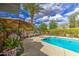 Inviting backyard with a refreshing pool, complemented by a lush, mature palm tree at 3954 E Becker Ln, Phoenix, AZ 85028