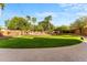 Lush backyard oasis featuring manicured lawn, mature trees, and ambient string lights for serene outdoor enjoyment at 4223 N St Elias --, Mesa, AZ 85215
