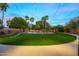 Expansive backyard featuring lush lawn, decorative rock, mature trees, and overhead string lights for ambient lighting at 4223 N St Elias --, Mesa, AZ 85215