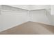 Spacious walk-in closet with carpet and shelving at 4777 W Hunter Trl, San Tan Valley, AZ 85144