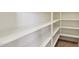 Walk-in pantry featuring organized shelving for optimal storage and accessibility at 5557 W Mine Trl, Phoenix, AZ 85083