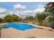Backyard pool with diving board and beautiful, mature landscaping in a fenced yard at 7252 E Edgewood Ave, Mesa, AZ 85208