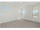 Well-lit bedroom with three windows and neutral carpet flooring for a cozy feel at 7342 W Hedge Hog Pl, Peoria, AZ 85383