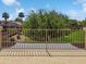 Beautiful backyard view from the deck, showcasing lush greenery and privacy fencing at 13637 W Port Royale Ln, Surprise, AZ 85379