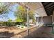Backyard with a lattice-covered patio and mature trees at 1837 E Presidio Rd, Phoenix, AZ 85022