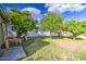Well maintained backyard featuring mature trees, providing ample shade and privacy at 1849 E Jarvis Ave, Mesa, AZ 85204