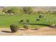 Scenic golf course featuring wildlife, including deer, and golfers in carts at 3086 S First Water Ln, Gold Canyon, AZ 85118