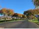 Scenic street view with tree-lined roads and homes in the distance at 3086 S First Water Ln, Gold Canyon, AZ 85118