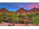 Beautiful desert landscape with native plants, rock formations, and mountain views at 33269 N 73Rd Pl, Scottsdale, AZ 85266