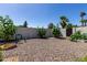Cozy backyard features low-maintenance rock landscaping, mature trees, and a privacy fence at 3516 W Brown St, Phoenix, AZ 85051
